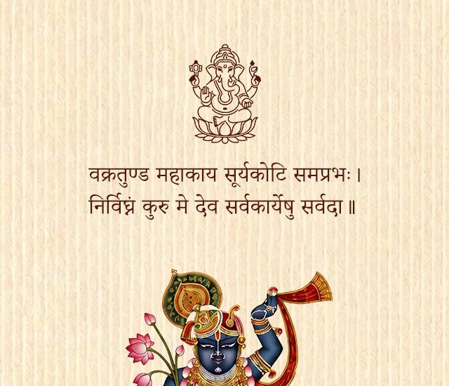 The First Look